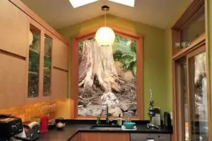 Broadview Refresh Kitchen Window and Garden View